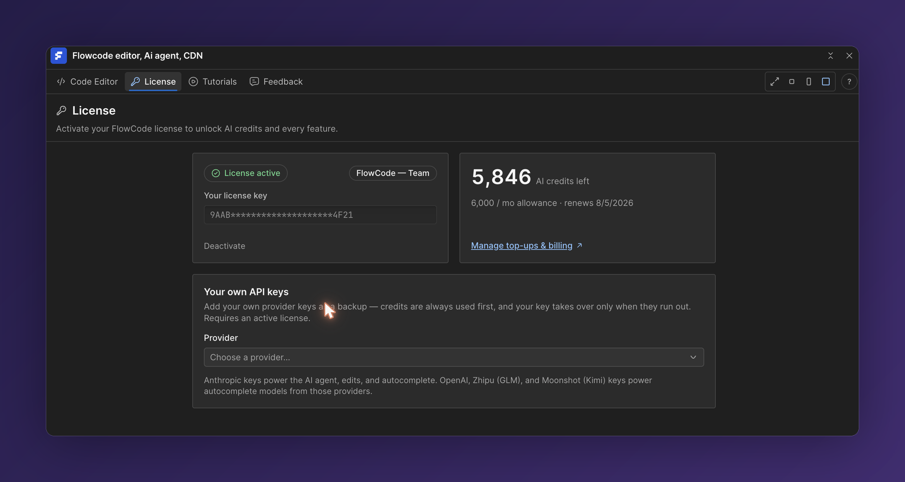 The License tab showing plan, credits, and API keys