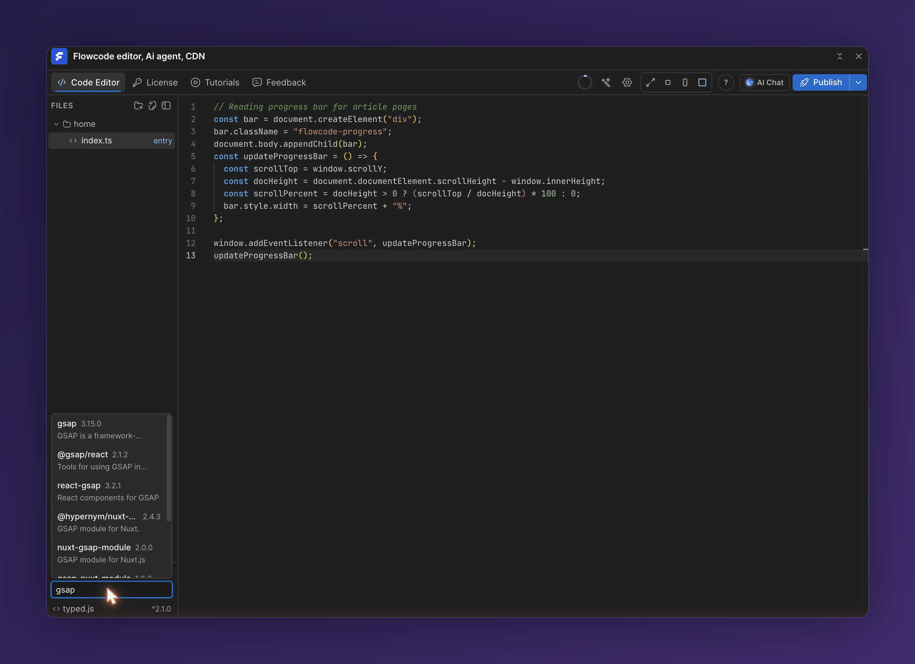 The Packages panel with npm search and installed packages