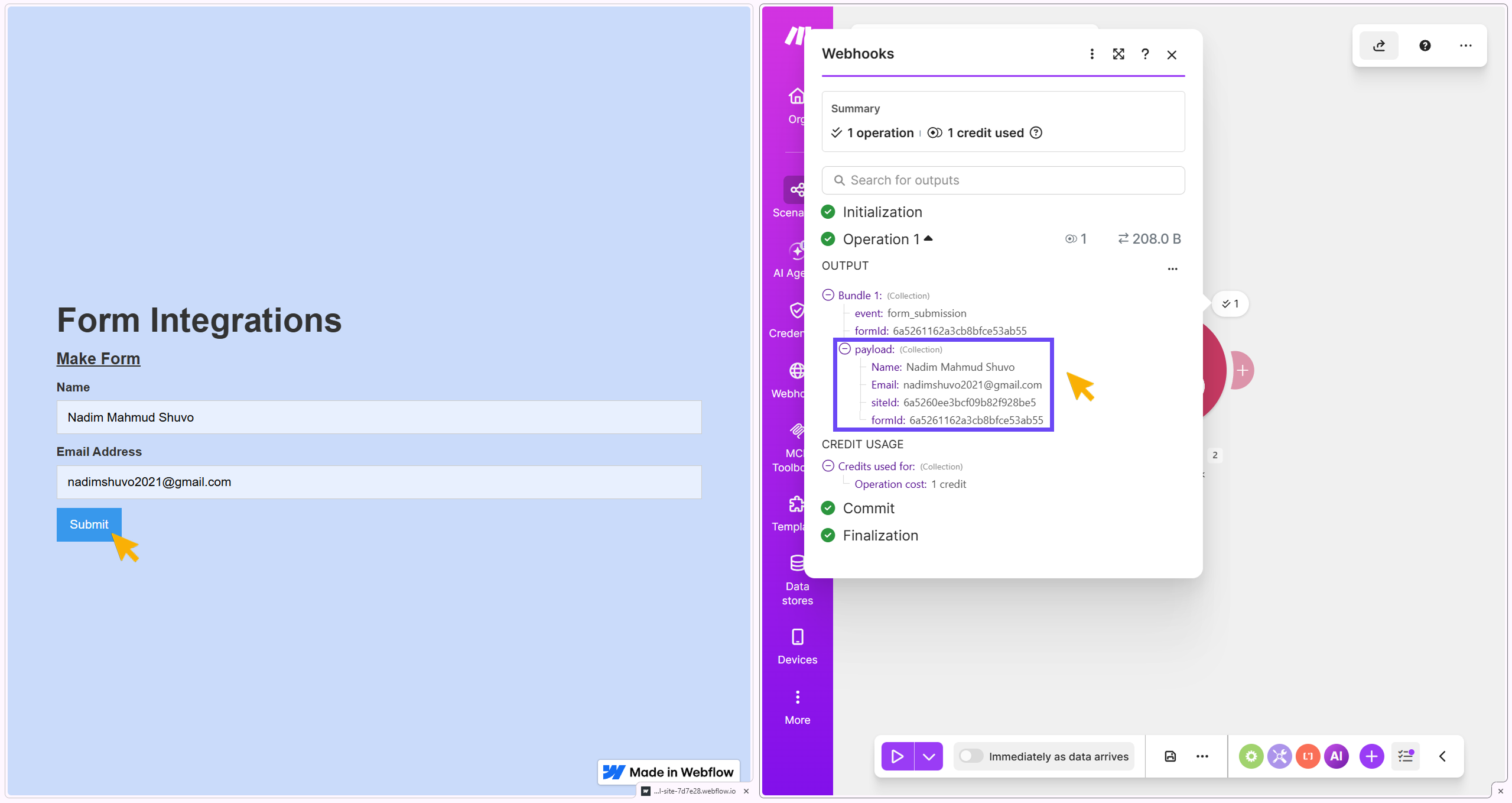 Showing data transfer from webflow published site to Webhook Dashboard