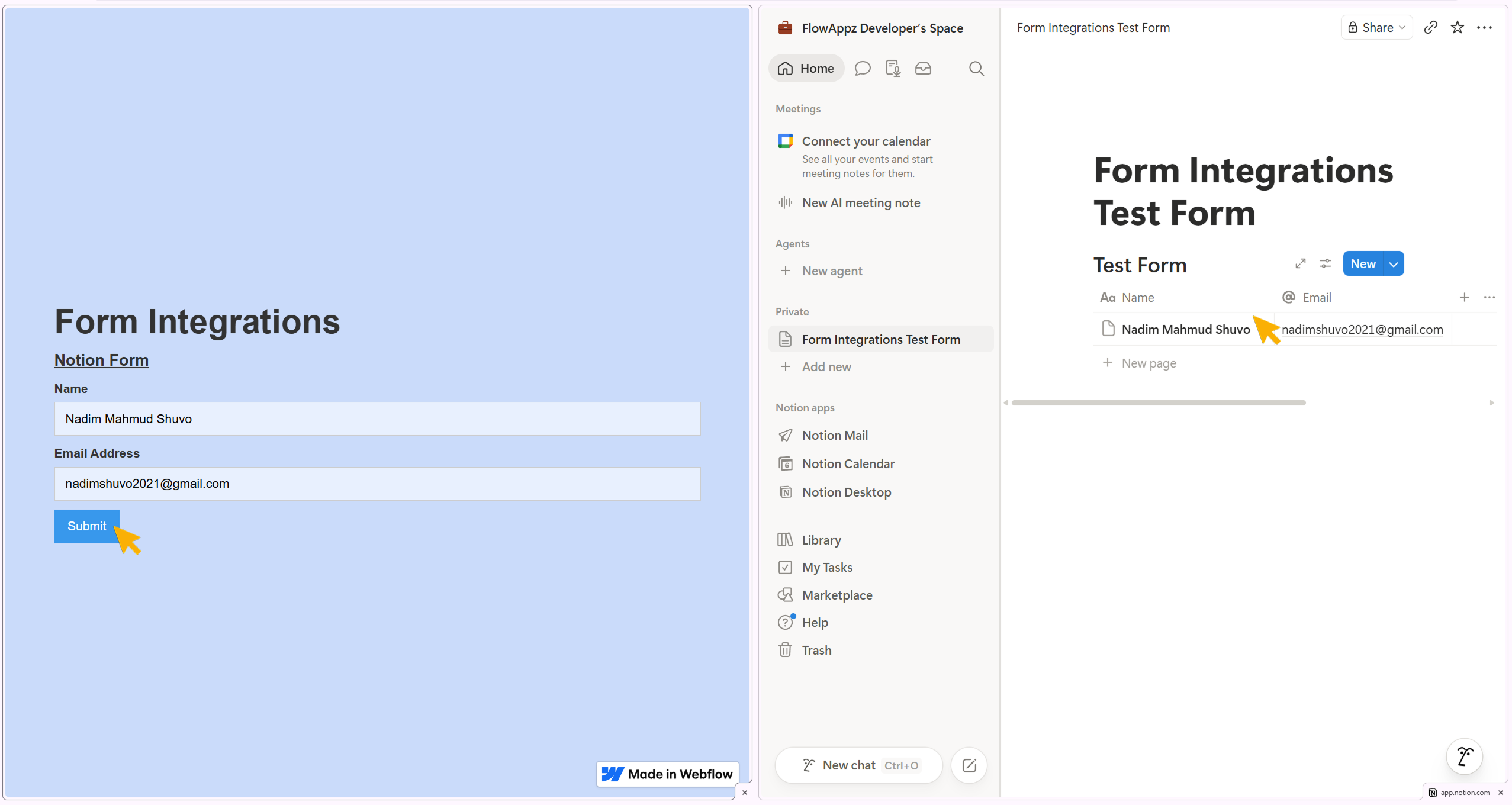 Showing data transfer from webflow published site to Notion database